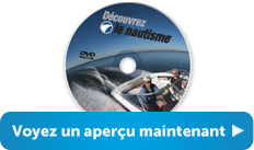 Regardez-les dès maintenant
